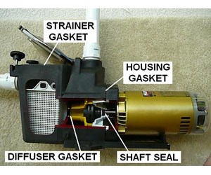 parts of pool pump